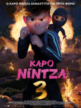 ΚΑΡΟ ΝΙΝΤΖΑ 3