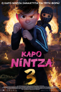 ΚΑΡΟ ΝΙΝΤΖΑ 3