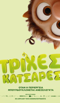ΤΡΙΧΕΣ ΚΑΤΣΑΡΕΣ