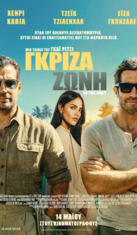 ΓΚΡΙΖΑ ΖΩΝΗ